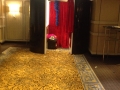 IMG_0032-1 - Copy